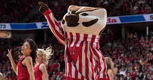 how wisconsin got the nickname badgers