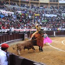 14 mil tutelas se han puesto contra el alcalde Petro por prohibir los toros  en La Santamaría