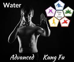 kung fu workout at home water module