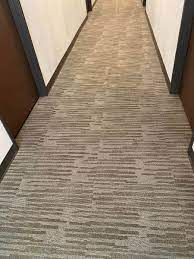 commercial carpet cleaning apex chem dry