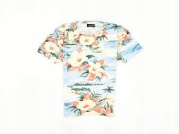 Details About F Zara Man Mens T Shirt Flowers Cotton Size S