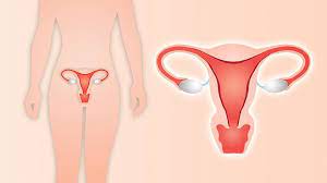 hysterectomy what your doctor won t