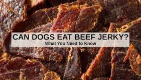 what-happens-if-a-dog-eats-beef-jerky