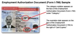 Note that alien # has 9 digits and can be entered as is. More Form I 9 Confusion For Employers Tps And Limited Automatic Extensions Big Immigration Law Blog