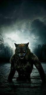 werewolf wolf s angry note 8