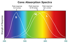 The Contradictions In How We Explain Colors The