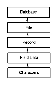 Semua data firebase realtime database disimpan sebagai objek json. Struktur Data Wiwit S Blog