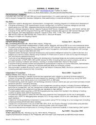 Enterprise Architect Resume Sample Enterprise Architect Resume