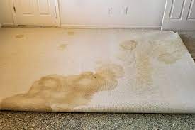 dirty carpet hazards unveiling