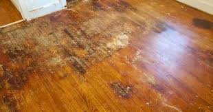 Wood Floor Water Damage The Homeowner