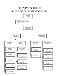Organizational Structure Broadview