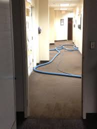 commercial carpet cleaning getzville