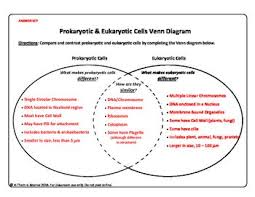 Prokaryotic Cell Versus Eukaryotic Cell Venn Diagram