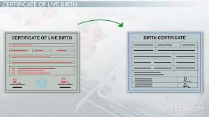 You will get a real document like feature in the fake birth certificate that will be issued to you from us. Certificate Of Live Birth Vs Birth Certificate Video Lesson Transcript Study Com