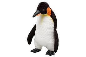 You can sometimes adopt a penguin or care for an injured penguin and return it after it matures or recovers, but usually, no. Galapagos Penguin Species Wwf
