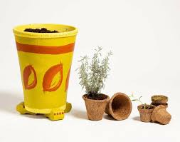 biodegradable coir plant pots round