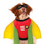 batman and robin dog costume from googleweblight.com