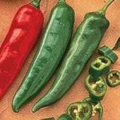 garden salsa pepper seeds