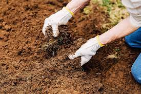 Gardening In Clay Soil Pros Cons