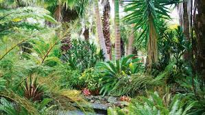 Tropical Texture To A Nz Garden