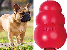 the best toys for french bulldogs in