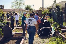 Compton S Only Community Garden Fights