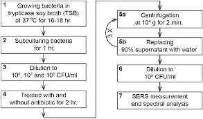 Figure 8 From Rapid Bacterial Antibiotic Susceptibility Test