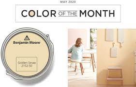 Color Of The Month 0520 Ace Hardware