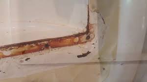rusted refrigerator repair you