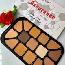 powder foundation palettes archives