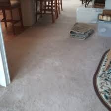 cleansense carpet care 19 reviews