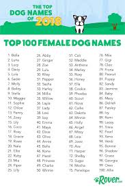 The Top 100 Most Popular Dog Names In 2019 By Breed City