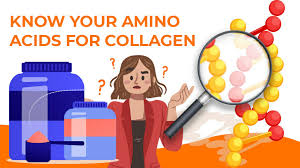 17 amino acids for collagen you need