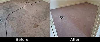 white glove carpet cleaning