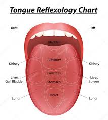 Reflexology Tongue Reflexology Tongue Chart Stock Vector