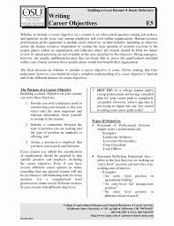 Resume Entry Level Management Position Cover Letter Examples
