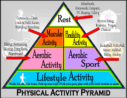 Image result for physical education elementary activities