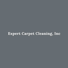 8 best st petersburg carpet cleaners