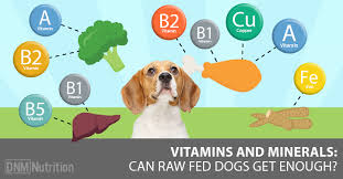 Your vet prescribes specific vitamins/minerals after diagnosing there are many vitamins, minerals, and nutritional supplements out there. Could Your Raw Fed Dog Be Lacking Important Vitamins And Minerals