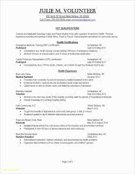 Free Resume Generator New Maker Pdf Format Students Services Easy