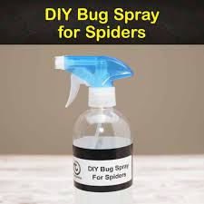 5 homemade bug sprays for spiders