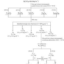 Flow Chart Of Bsl Assay Guided Fractionation Of Cytotoxic