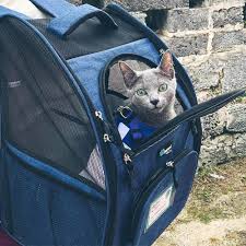 It allows you to take them with you wherever you go and they even get their own viewing bubble so they can people watch as you transport them around. Cat Backpacks For Adventuring With Your Cat Catexplorer