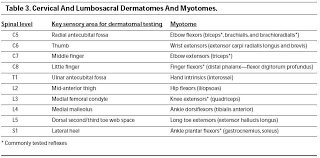 Dermatomes Myotomes Physical Therapy Anatomy Study Finger
