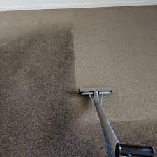 carpet cleaning zeeland michigan