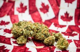 Is This A Canadian Marijuana Stock To Buy Or Sell This Month