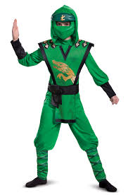 Lloyd Boys Child LEGO Ninjago Green Legacy Classic Halloween Costume-78 -  Walmart.com