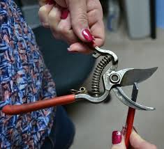 easy way to sharpen pruning shears