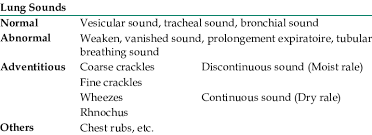 Lung Sound Categories Download Table