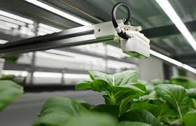 Plant Monitoring In Vertical Farms